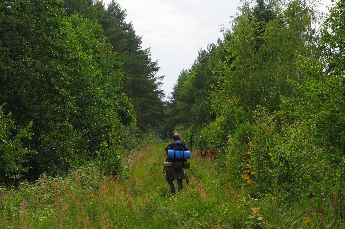 Em mann er ute på tu med sekk på ryggen i en skog.
